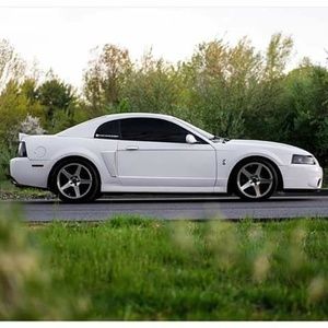 Meet your Posher, Jay